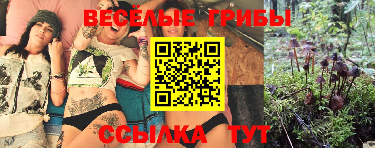 Галлюциногенные грибы Cubensis Новодвинск