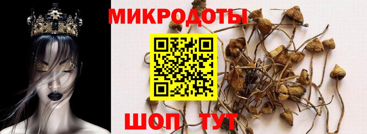 Галлюциногенные грибы GOLDEN TEACHER  Псилоцибиновые грибы мицелий  Новодвинск  Вход с VPN 